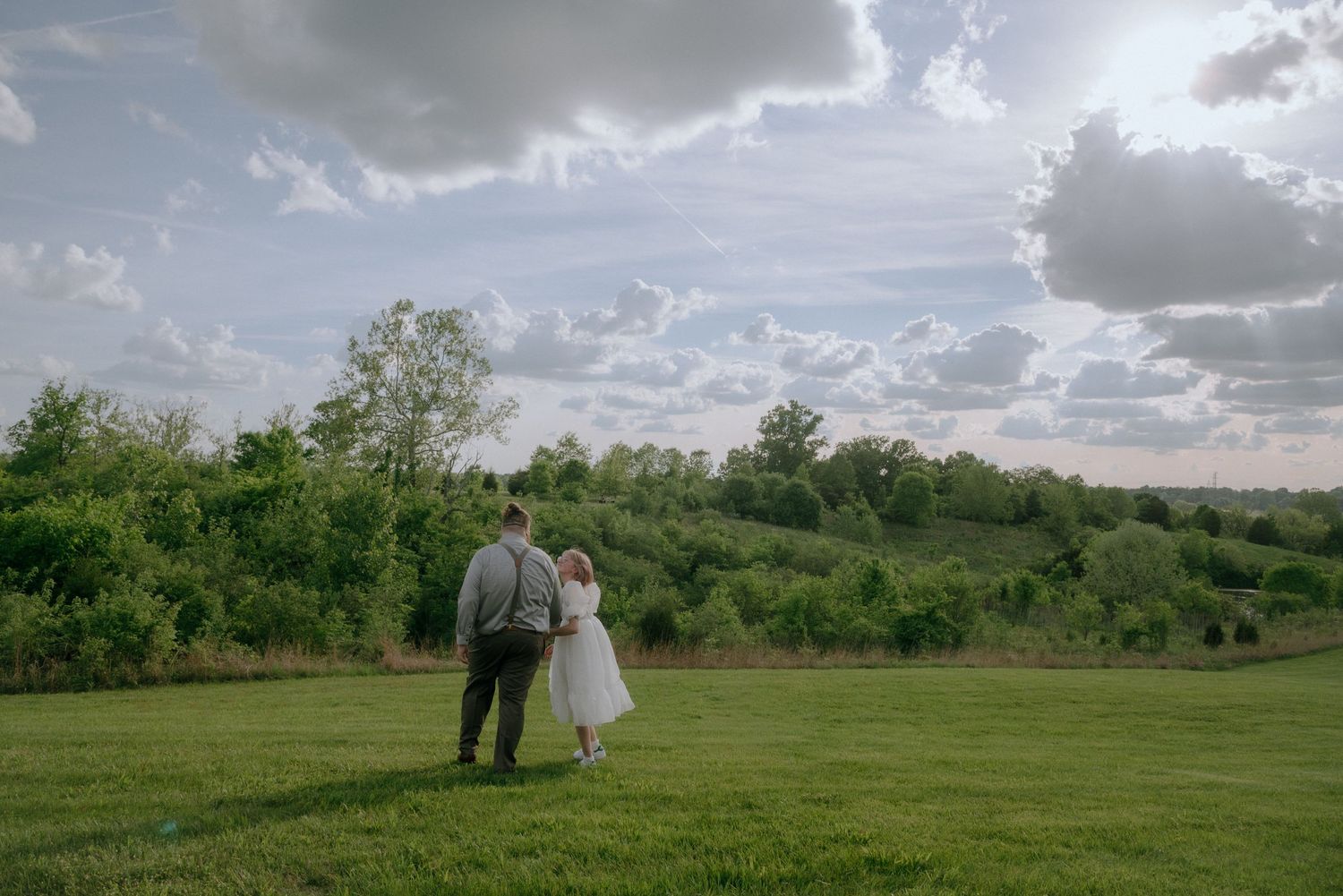 Panoramic landscape view of a green field with trees and dramatic cloud formations.