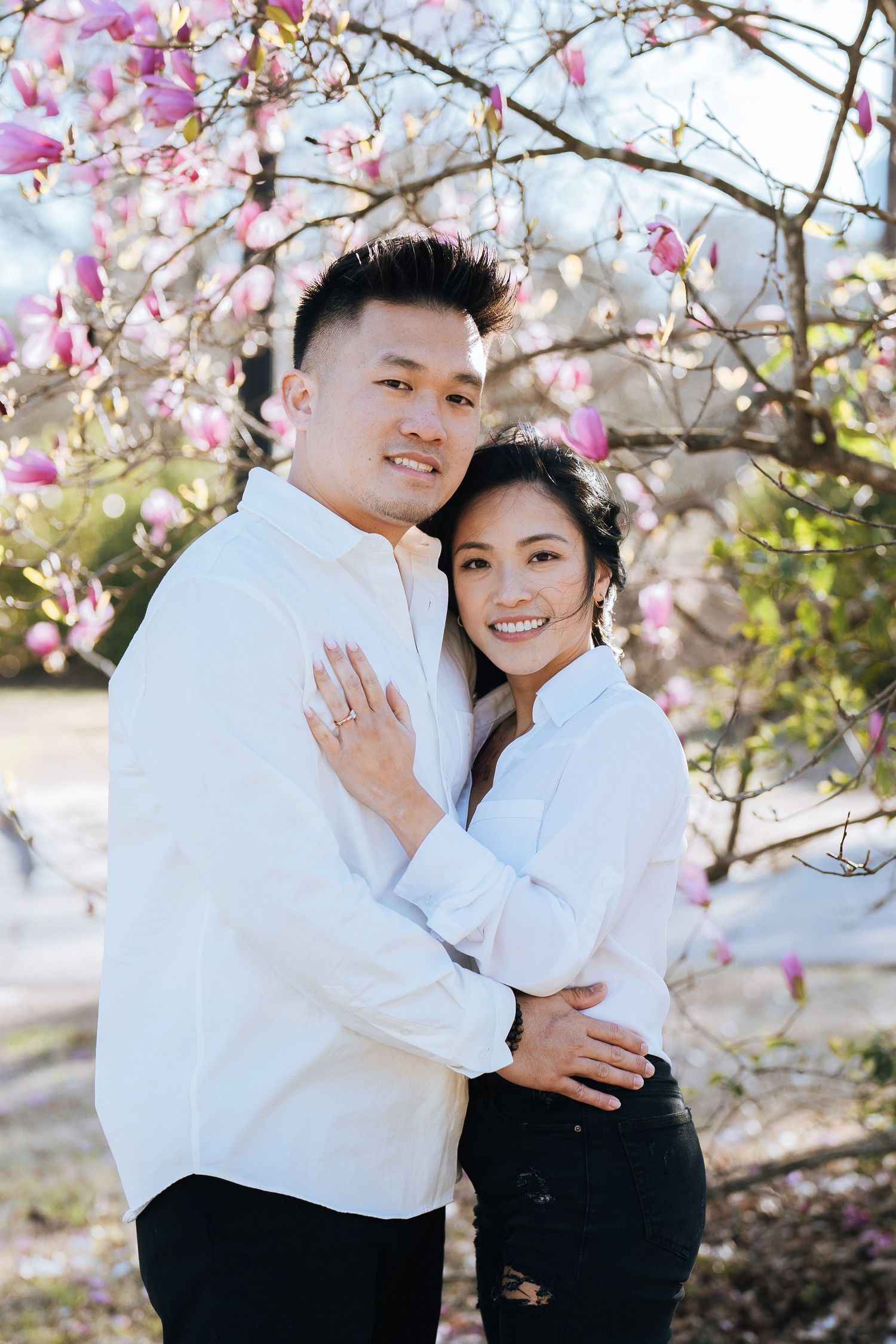 A couple in white shirts embraces under blooming cherry blossoms on a spring day.
