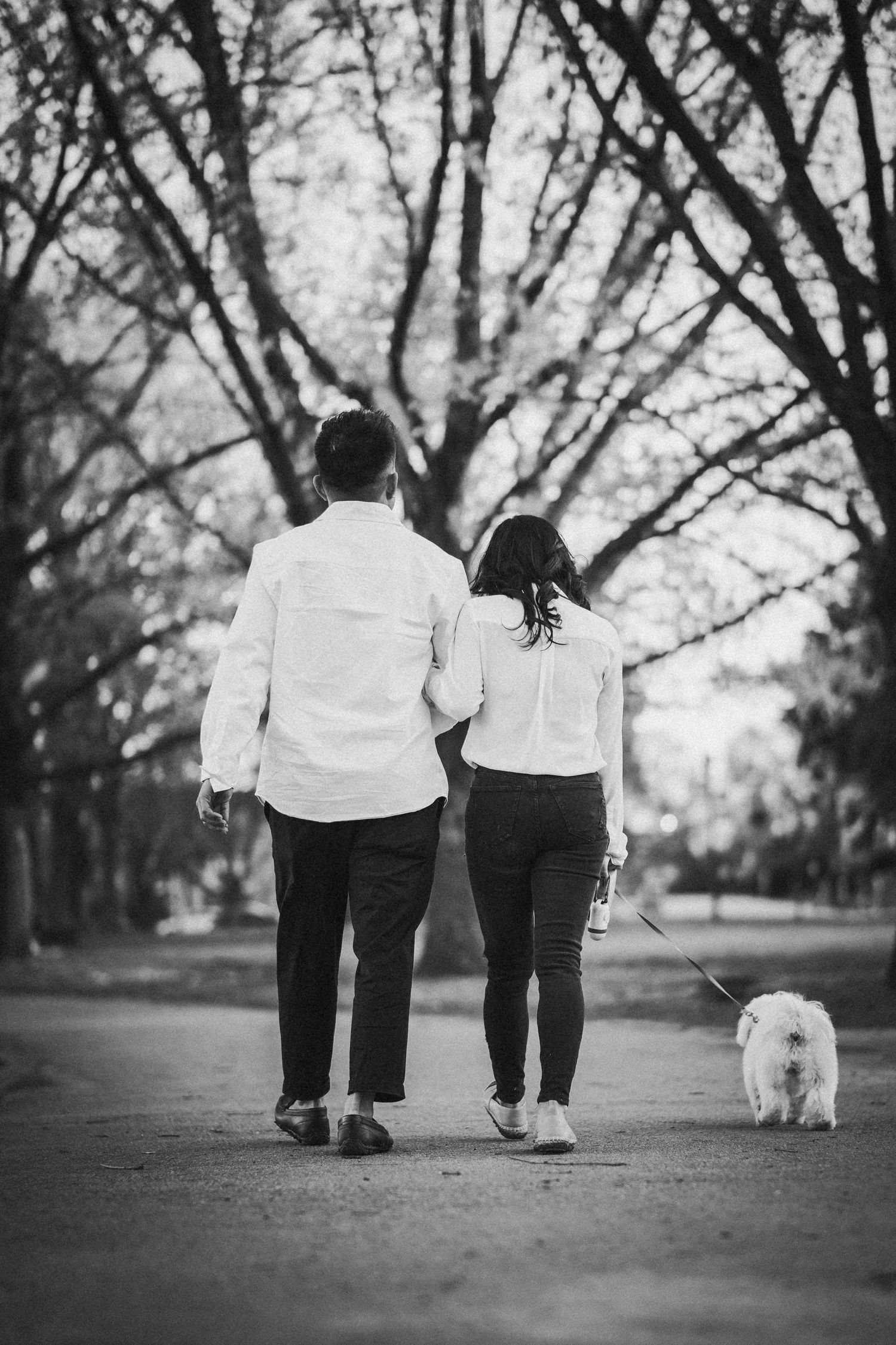 A couple in white shirts and dark pants walks their small white dog on a tree-lined path in black and white photography.