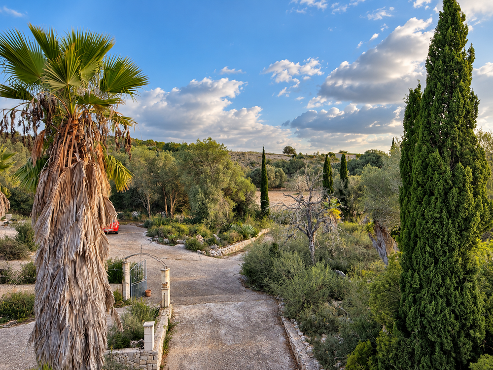 Winding gravel path through a Mediterranean garden with a tall palm tree and cypress trees under a blue sky with scattered clouds.