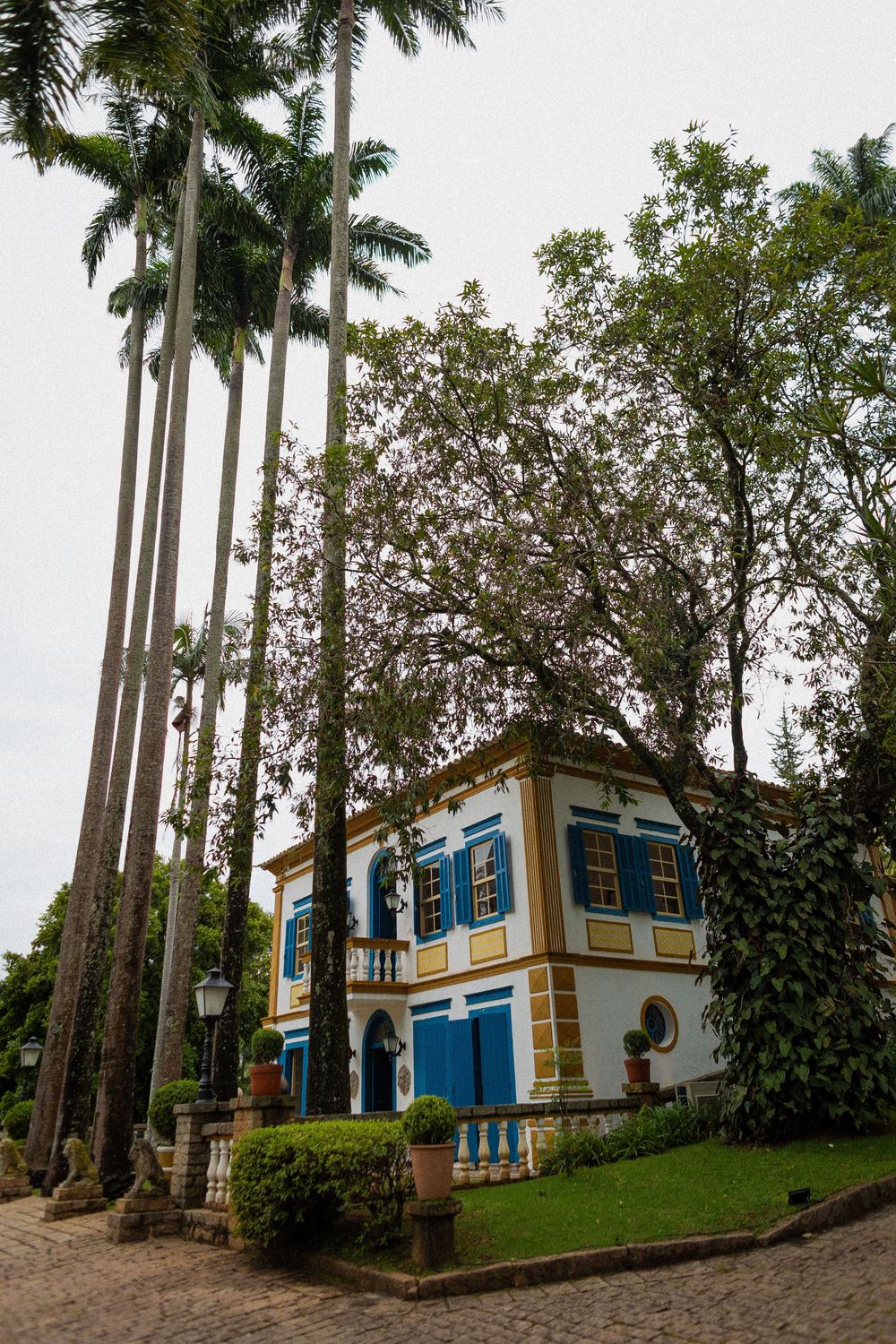 Colonial-style white mansion with blue shutters and yellow trim, framed by tall palm trees and lush greenery on a cobblestone path.