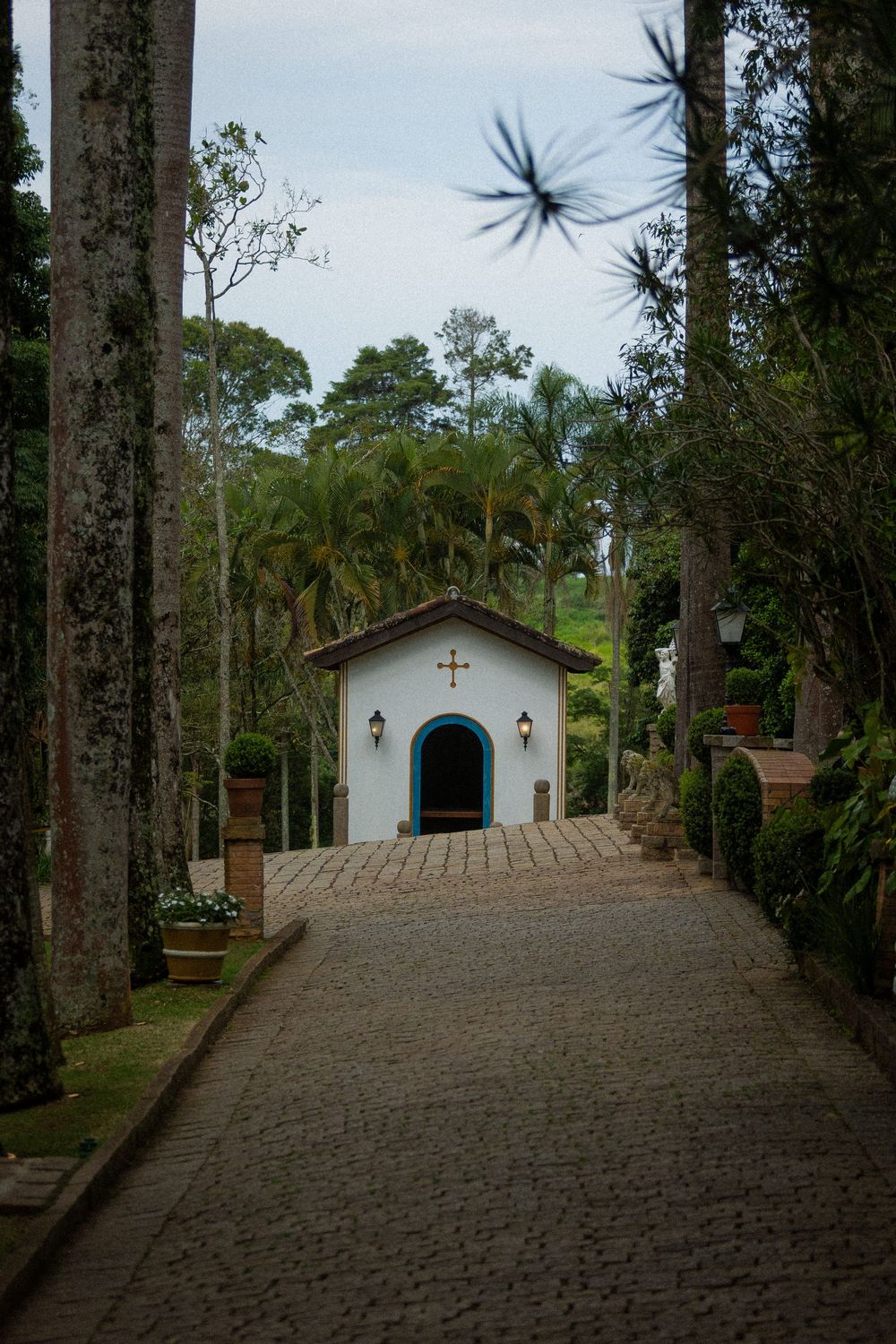 Small white chapel with a blue arched door and cross, set at the end of a cobblestone path lined with tall trees and lush tropical greenery.