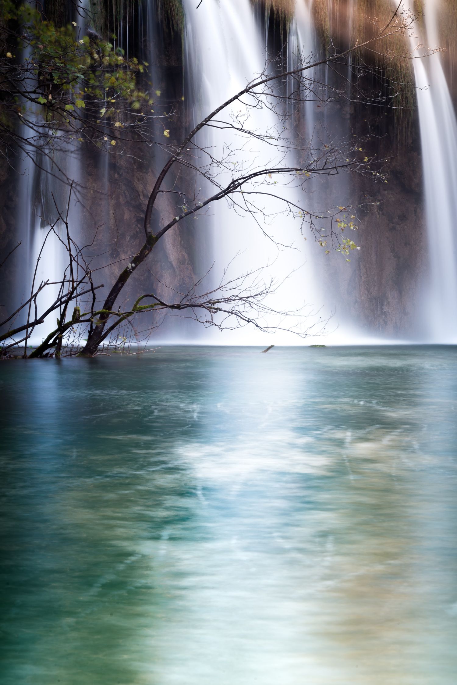 Ramo secco in controluce davanti a una cascata sul lago