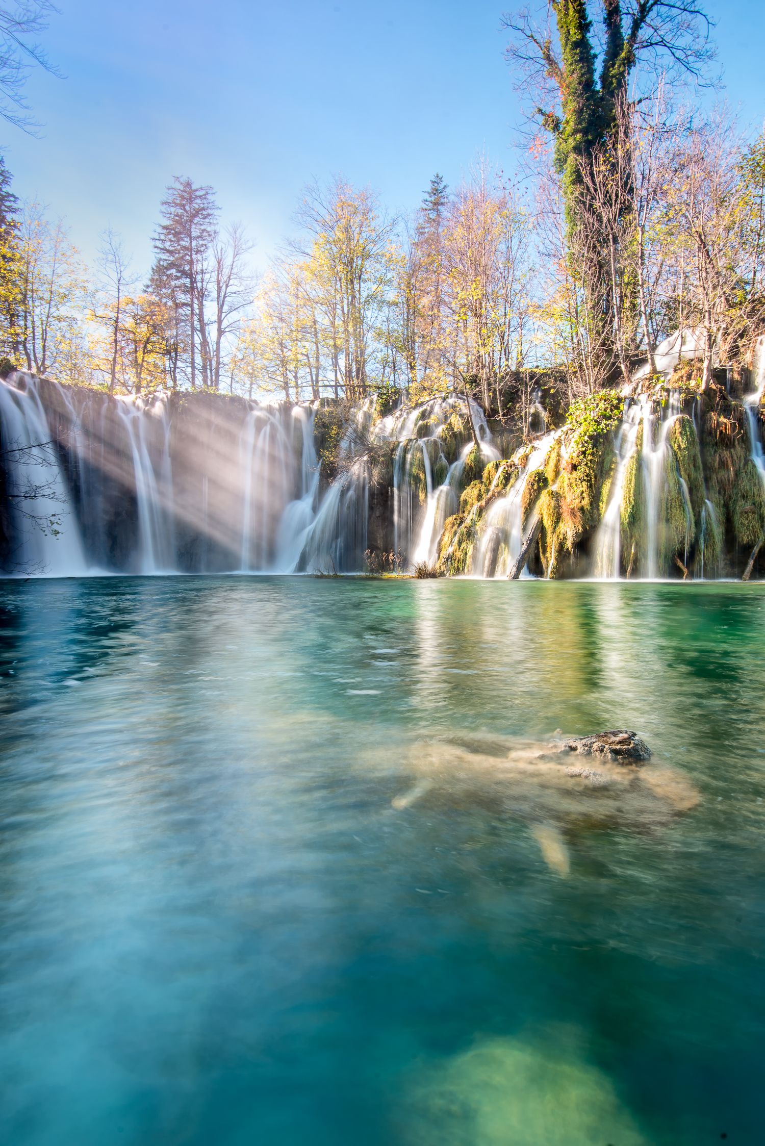 Tronco in controluce tra i getti d'acqua di una cascata