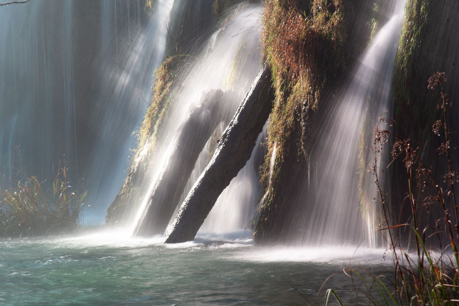 Cascata con tronco sommerso in un lago dai riflessi verdi