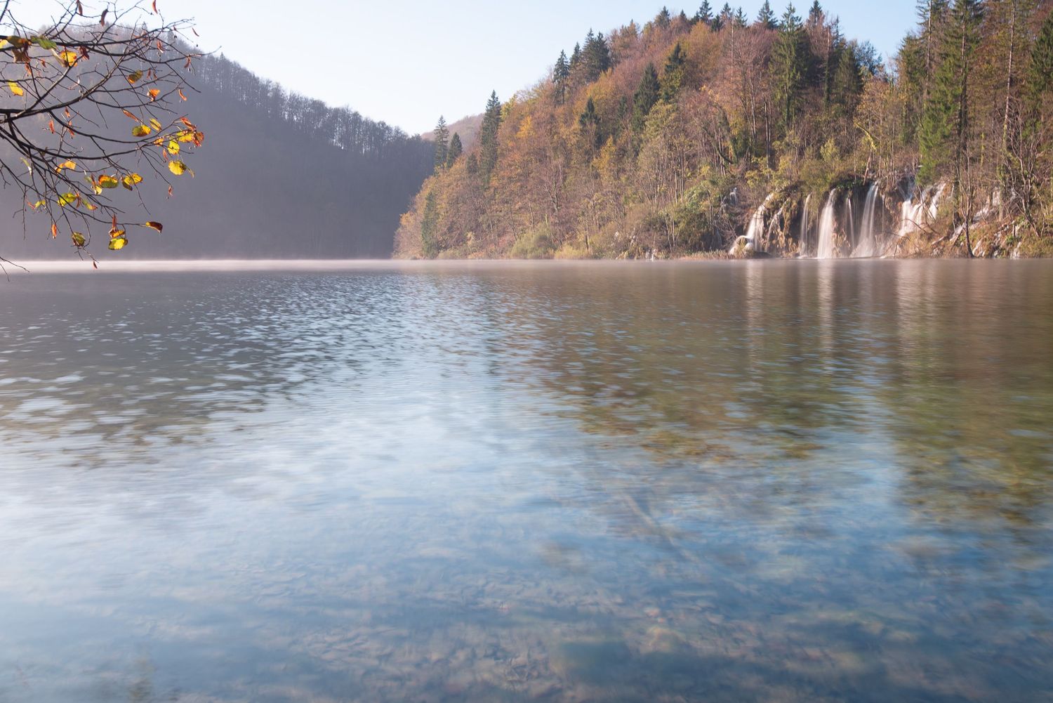 Lago avvolto dalla nebbia mattutina con foglie autunnali in primo piano