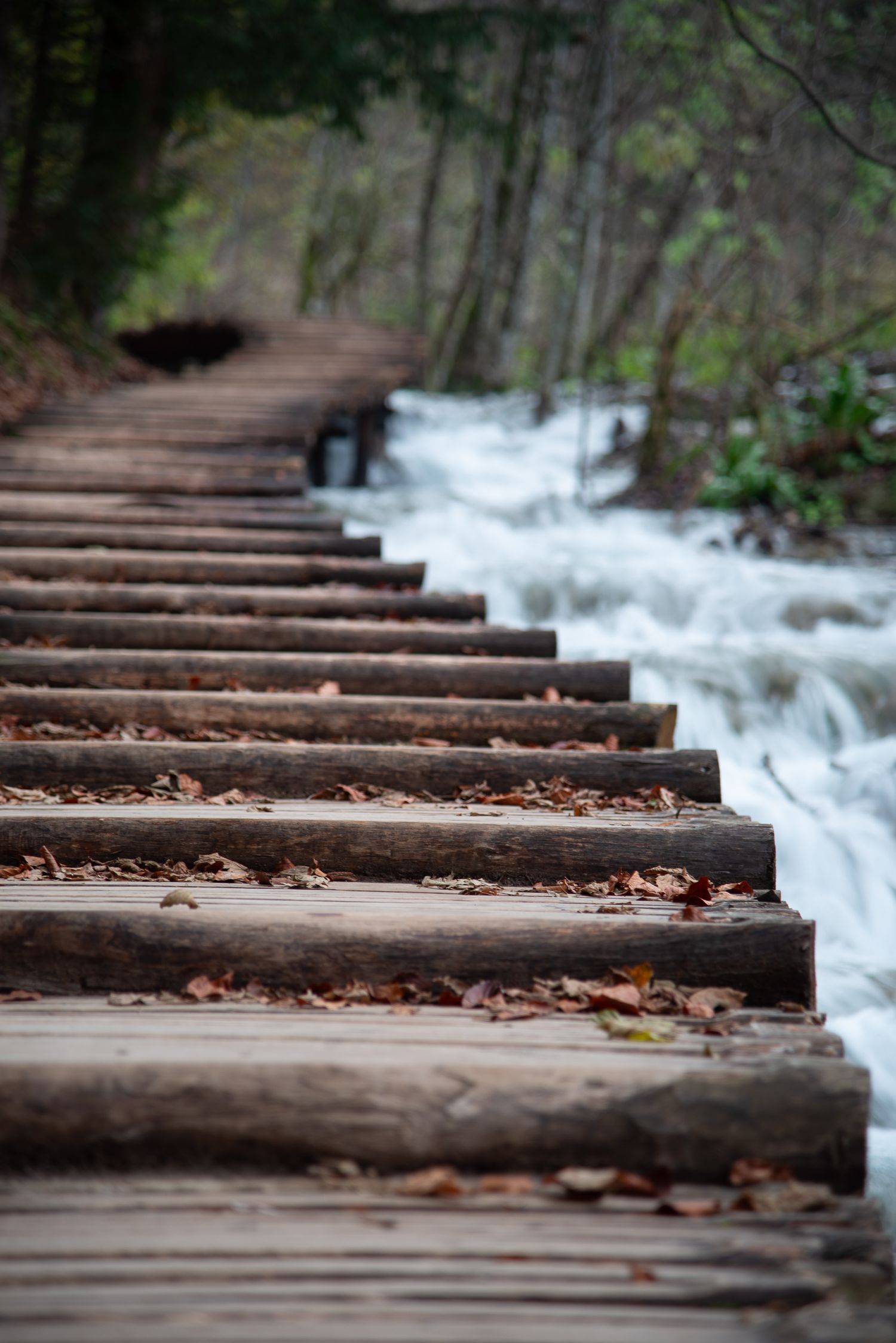 Passerella in legno lungo una cascata nel Parco di Plitvice