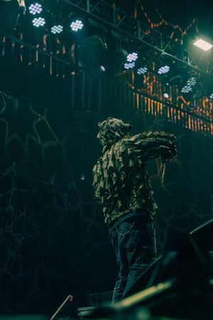 Performer in leafy costume stands on stage under dramatic lighting at a live concert event.
