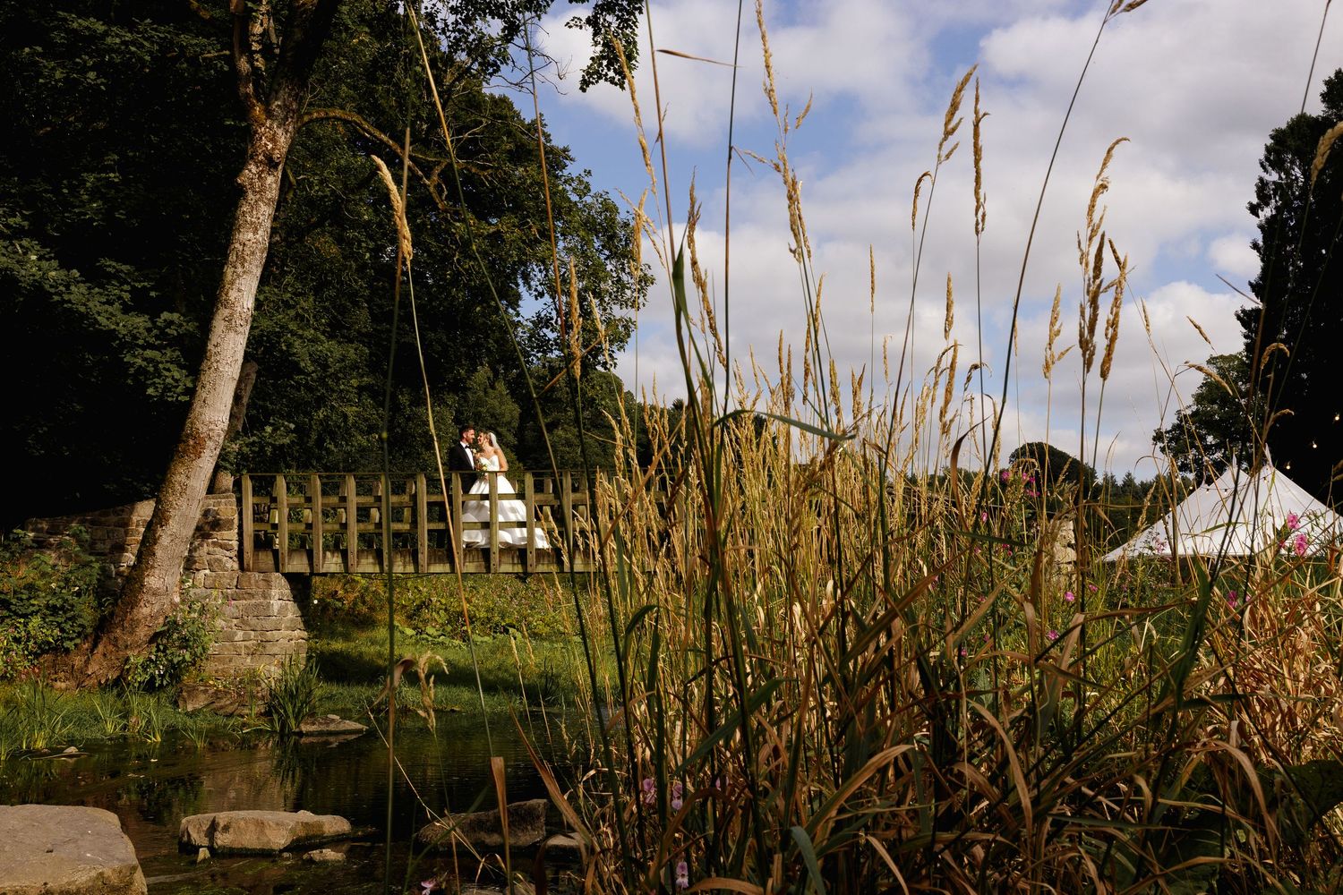 Wedding couple on a bridge with tall brown cattails and grasses sway in a row against a bright blue summer sky with scattered white clouds.