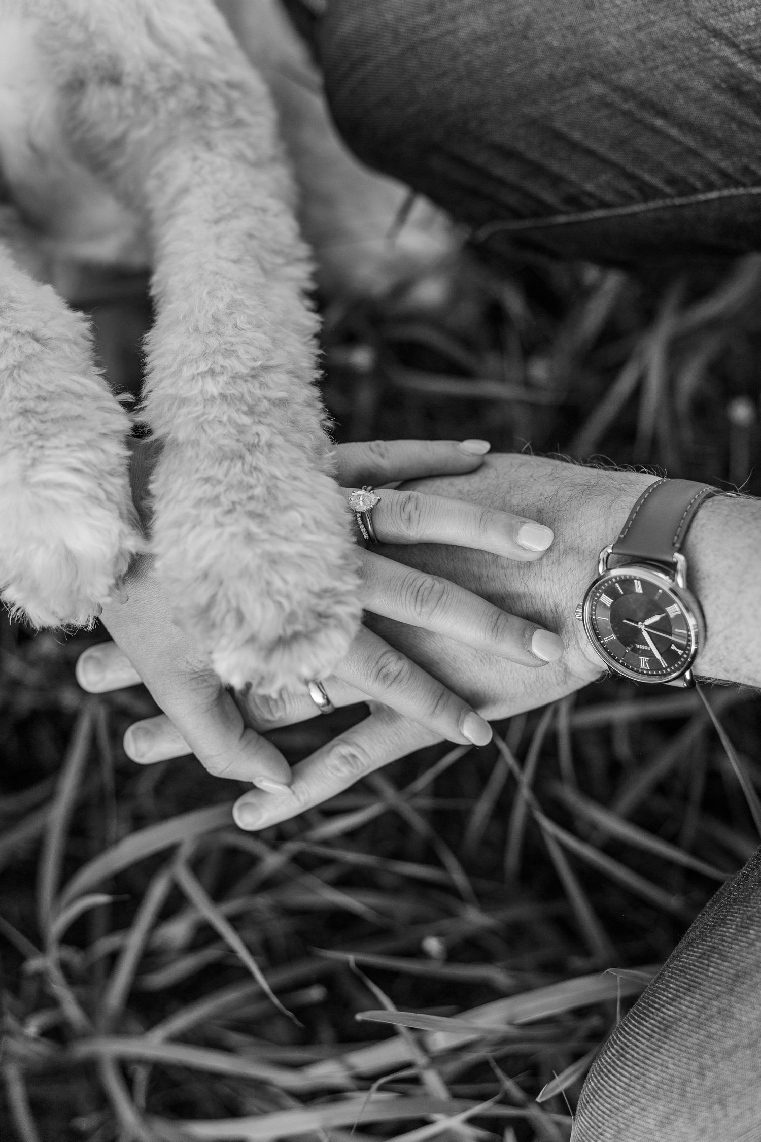 Black and white photo of two hands and a dog paw stacked together, with one person wearing a watch and ring.
