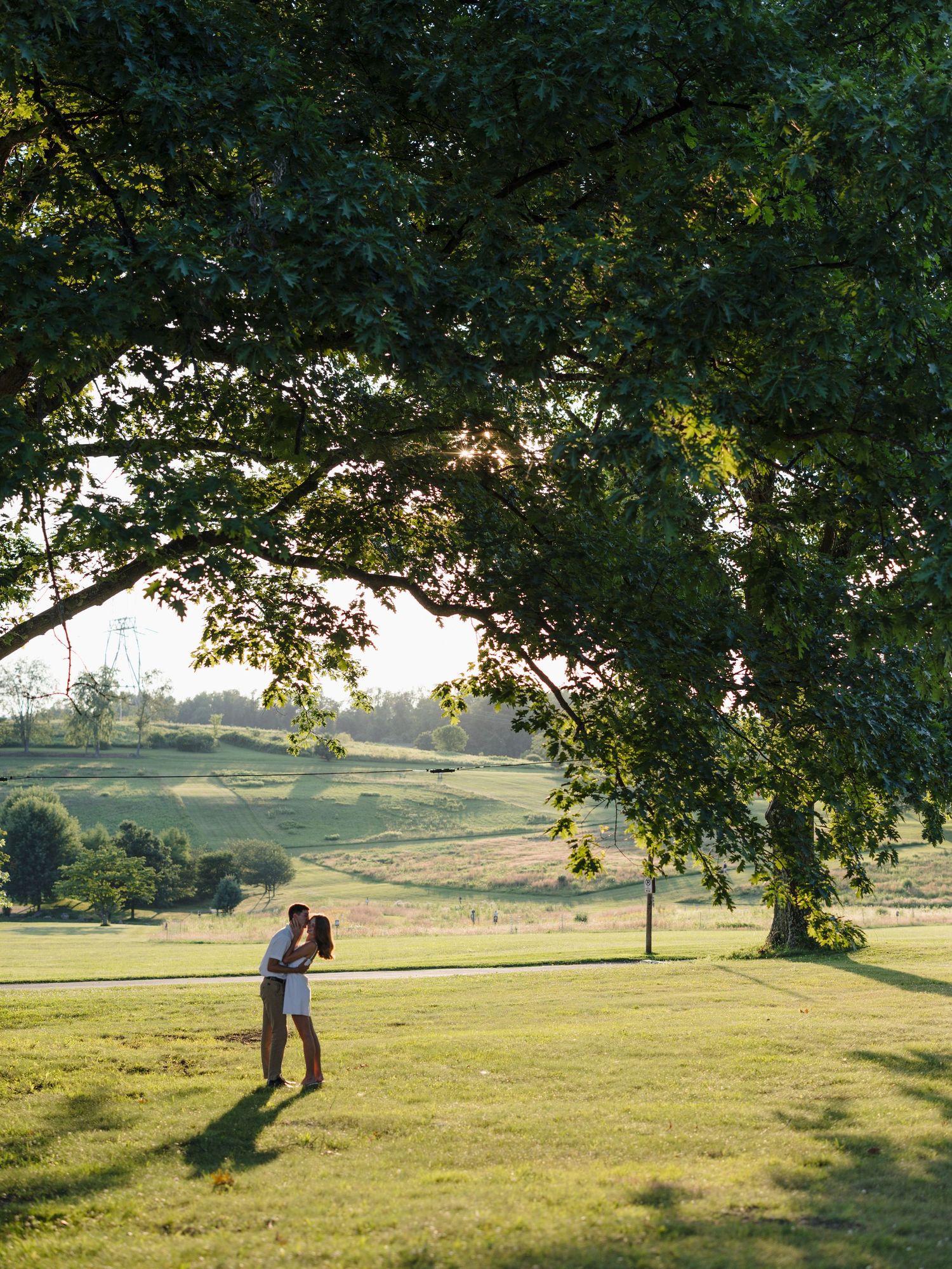 Couple embracing and kissing under a large green tree in a sunlit open field at golden hour.
