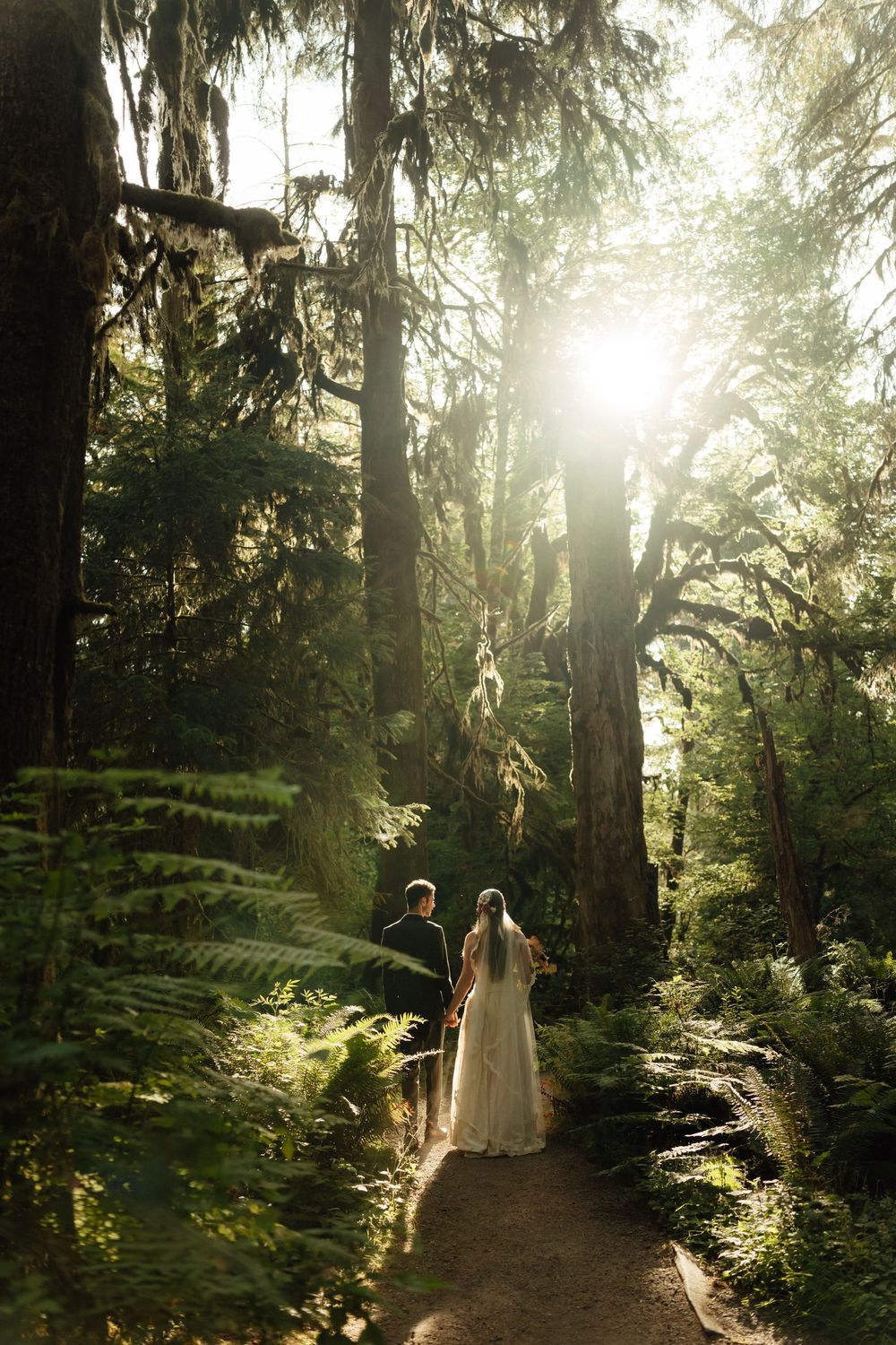 Bride and groom walk hand-in-hand on a sunlit forest path surrounded by towering moss-covered trees and lush ferns.