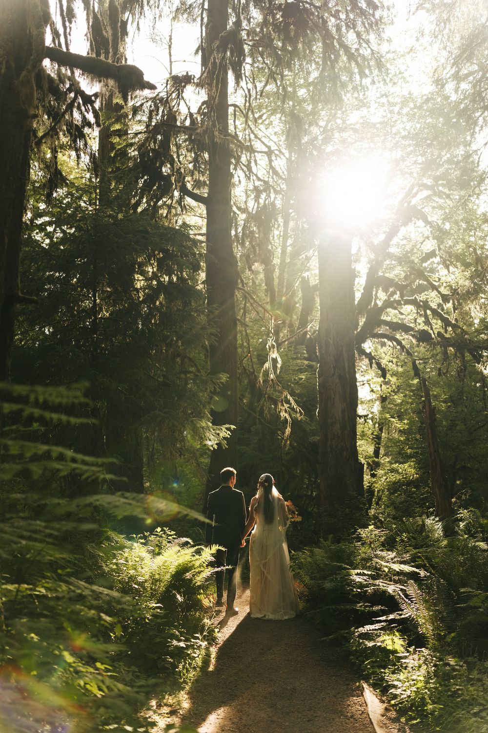Bride and groom walk hand-in-hand along a sunlit forest path surrounded by tall trees and lush ferns.