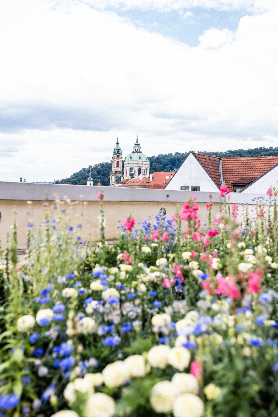 Colorful wildflowers bloom in foreground with St. Nicholas Church dome and red rooftops visible in Prague, Czech Republic.