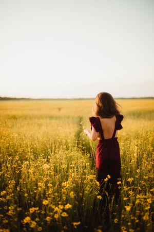 Woman in red dress standing in golden flower field at sunset, viewed from behind.