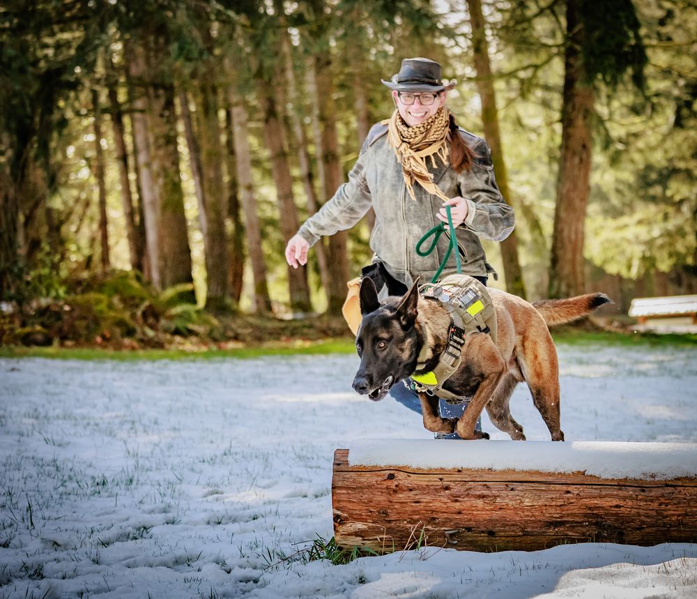 Woman in hat training Belgian Malinois dog to jump over log in snowy forest park.
