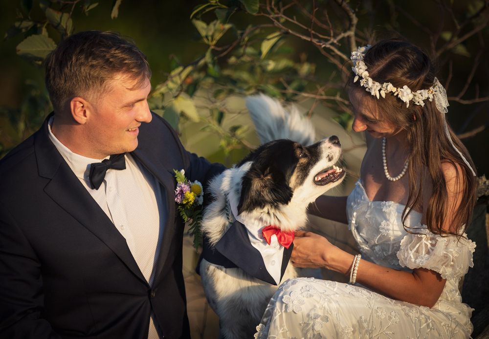 Bride and groom in wedding attire smile at their dog wearing a red bow tie outdoors.