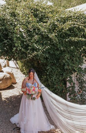 Bride in floral ballgown with flowing veil holds colorful bouquet outdoors near lush green ivy wall.