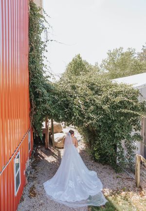 Bride in a flowing white wedding gown with long veil stands near a red barn surrounded by lush green ivy.