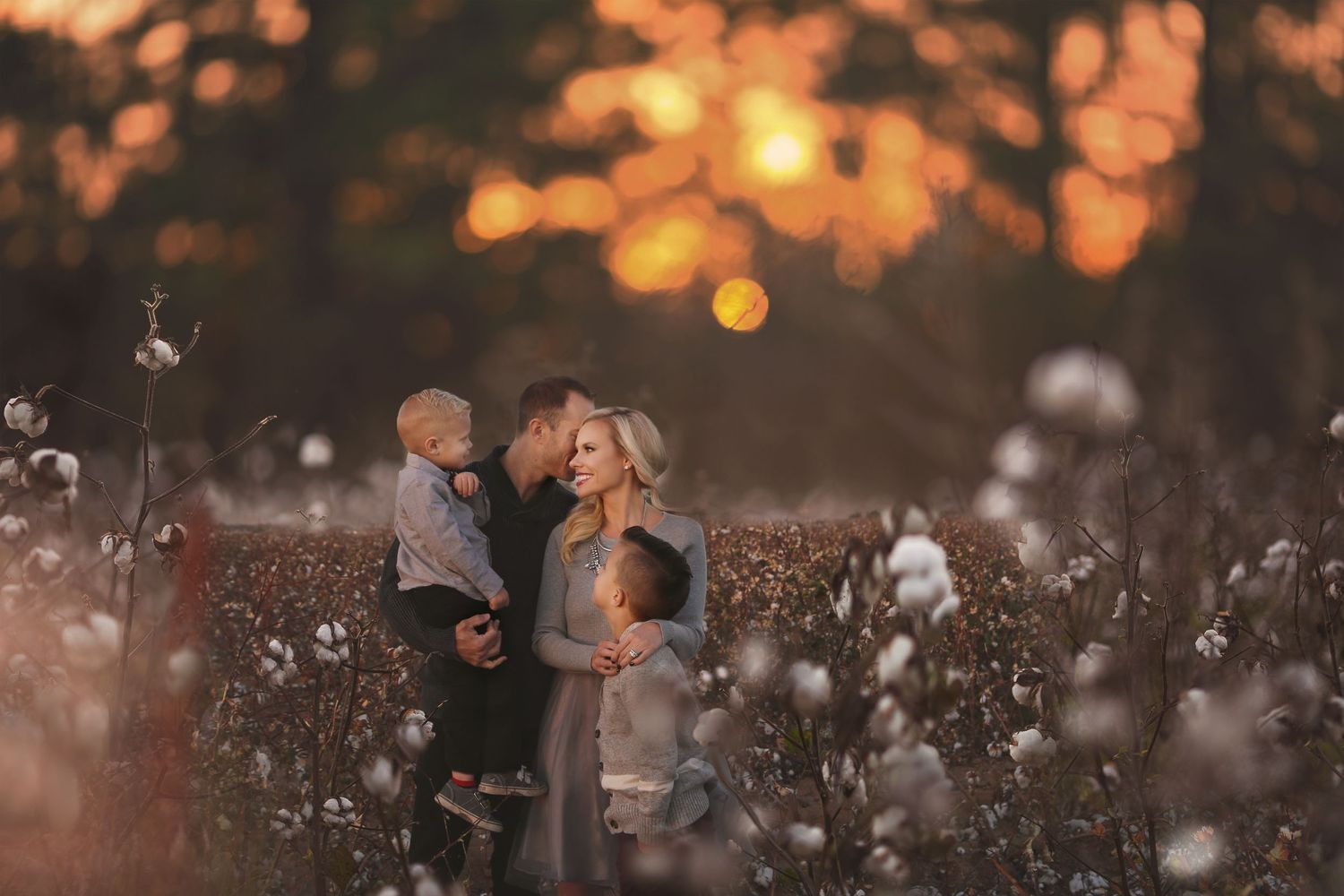 Family of four embracing in a cotton field at sunset, with warm orange bokeh light glowing in the background.