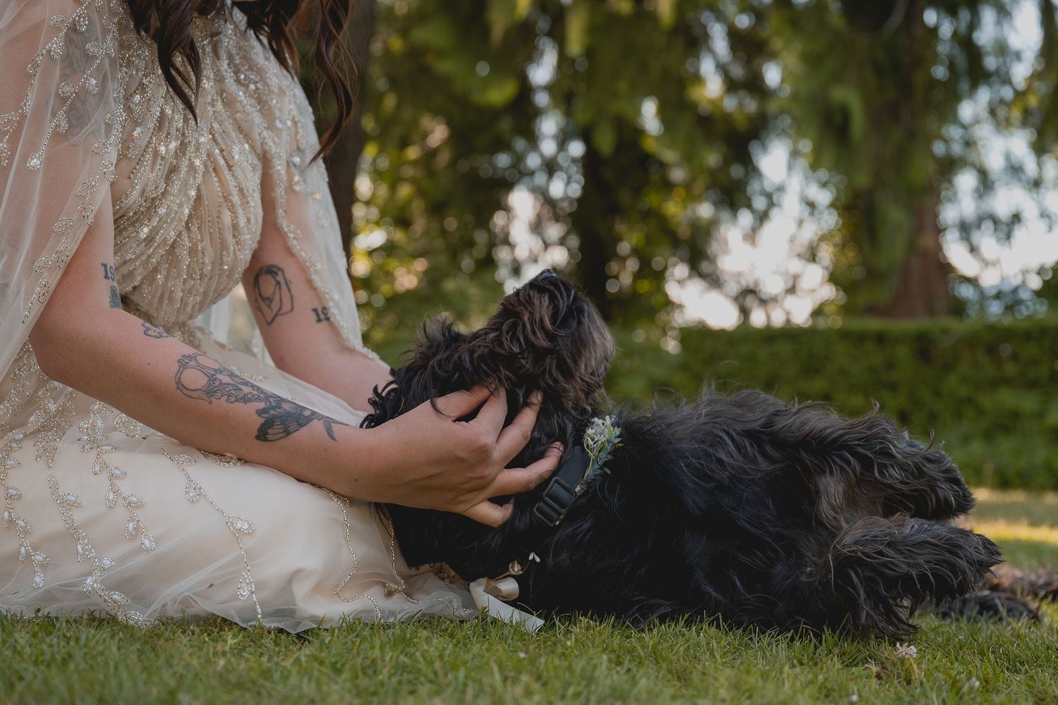 A bride plays with her dog on a grassy field on her elopement day.