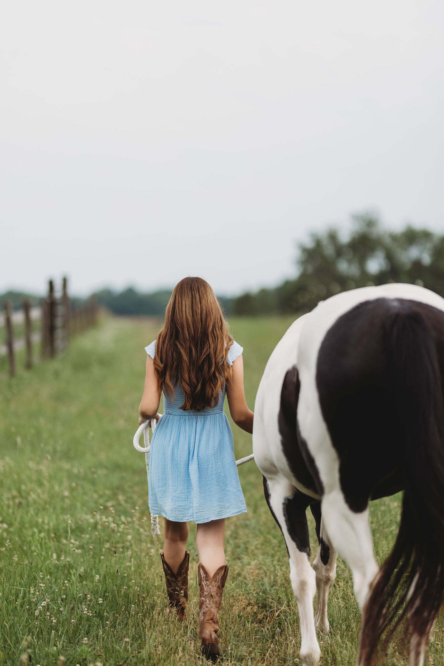 Young woman in blue dress holding rope lead beside a dark paint horse in a lush green field.