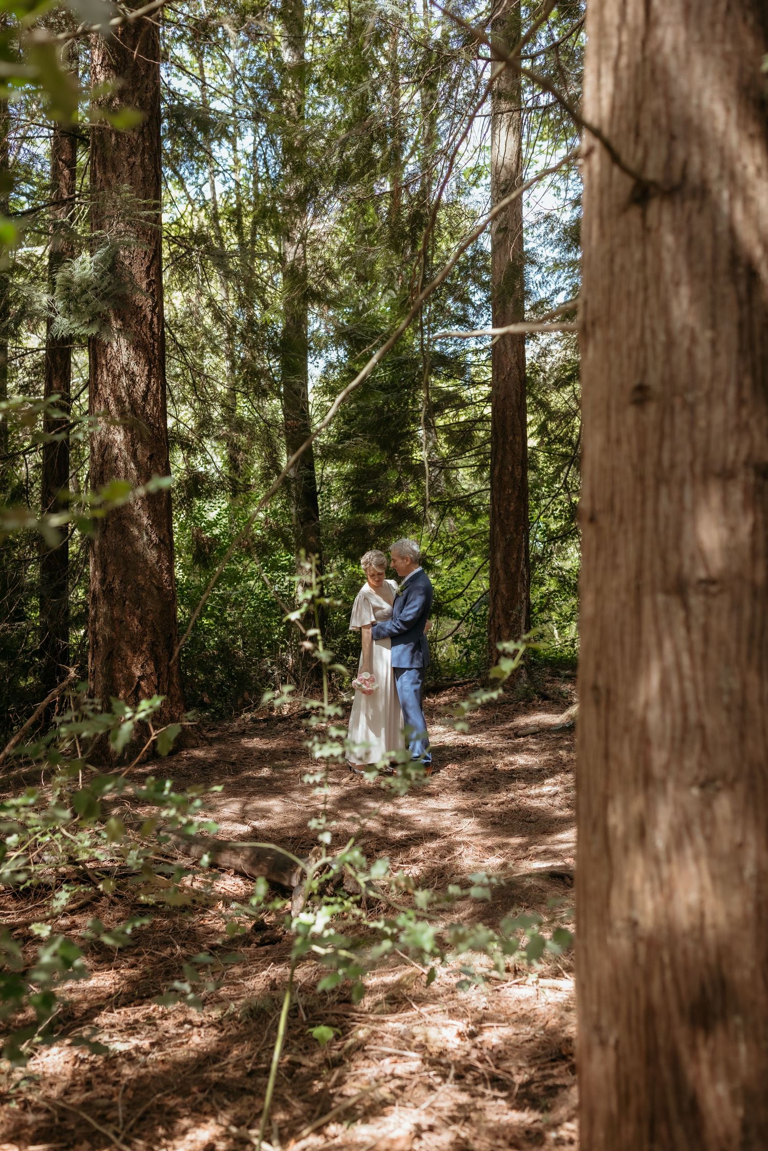 Elderly couple embracing in a sunlit forest, surrounded by tall trees, in a romantic outdoor wedding setting.