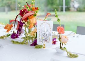 Detroit Wedding photographer, TMA Toledo wedding, editorial Michigan photographer, Michigan photographer, Toledo photographer, Ohio wedding
