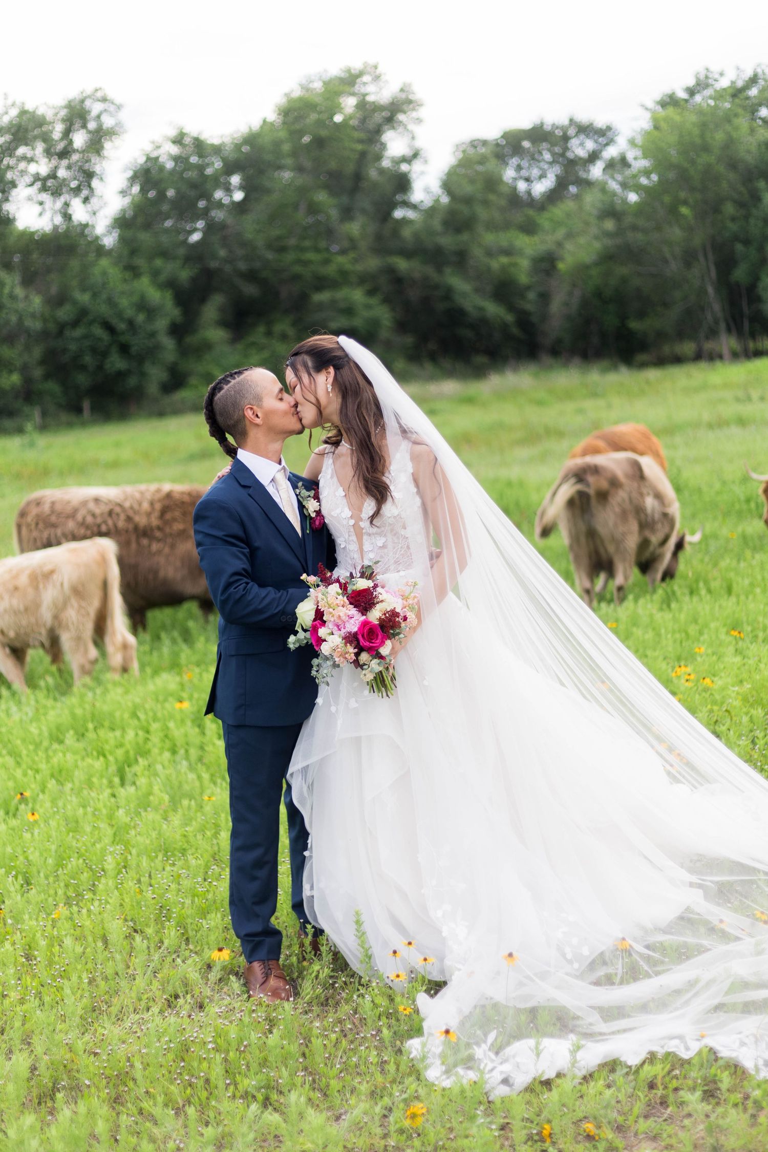 Bride and groom kissing in a green field with cattle grazing behind them on their rustic outdoor wedding day.