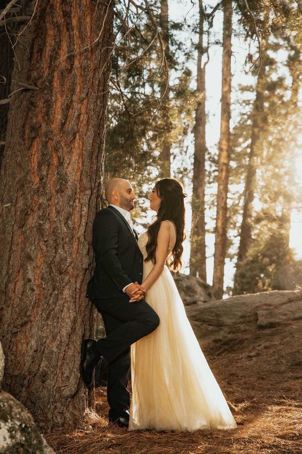 Romantic wedding portrait of a couple holding hands beside a towering tree in a sunlit forest.