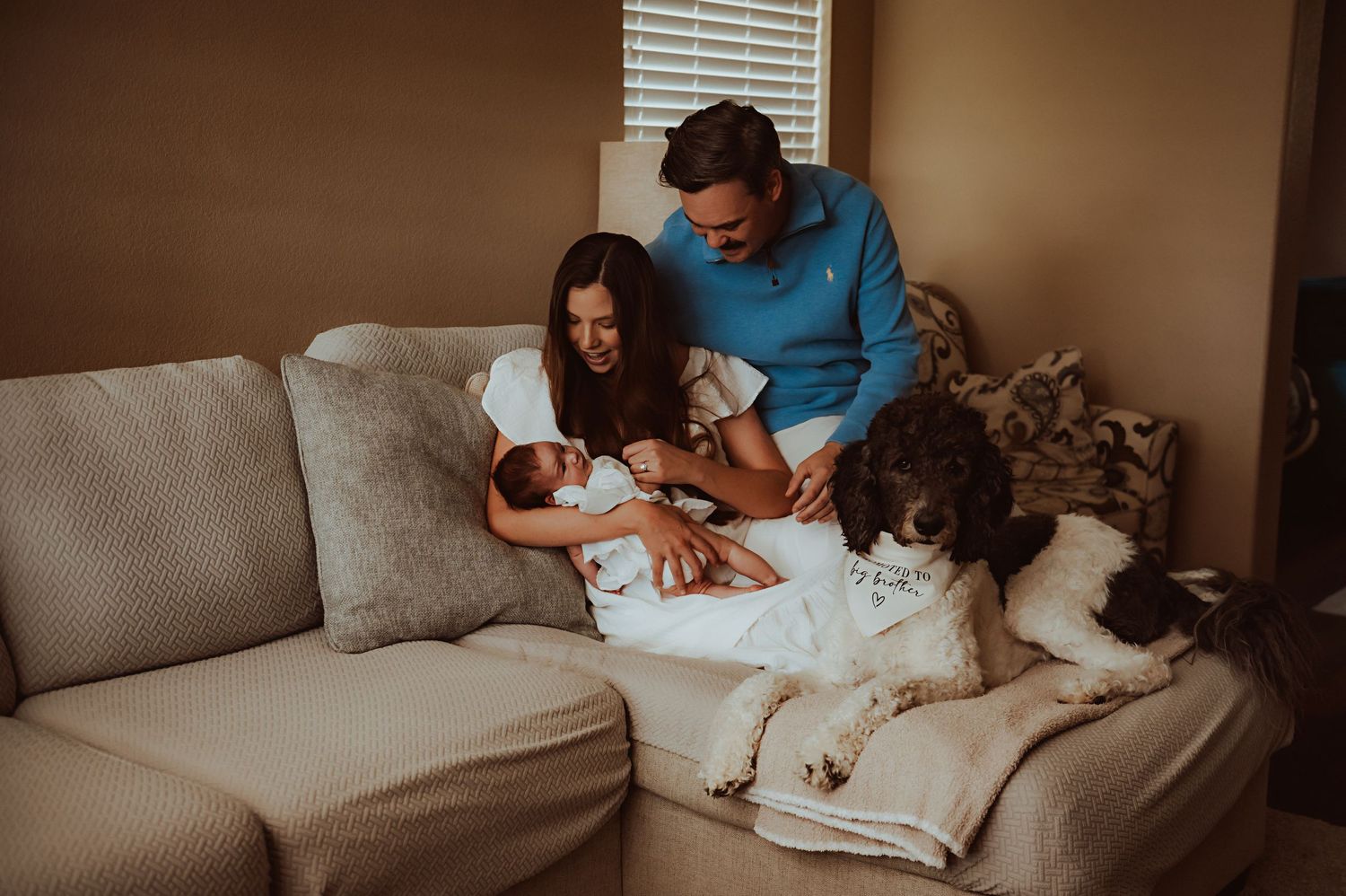A couple sits on a beige sofa admiring their newborn baby while a spaniel dog rests beside them in a cozy home.