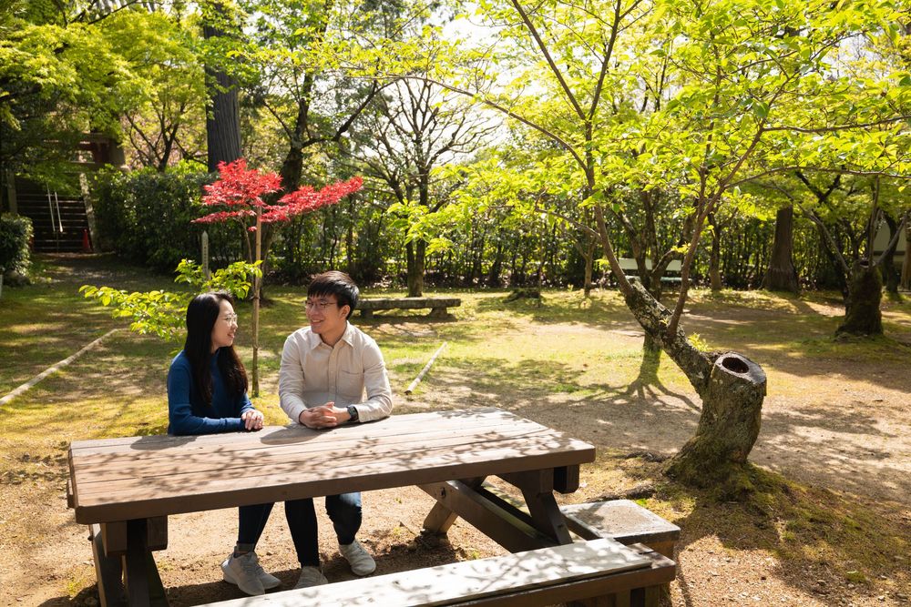Two people sit and talk at a wooden picnic table in a sunny park surrounded by green trees and a red maple.