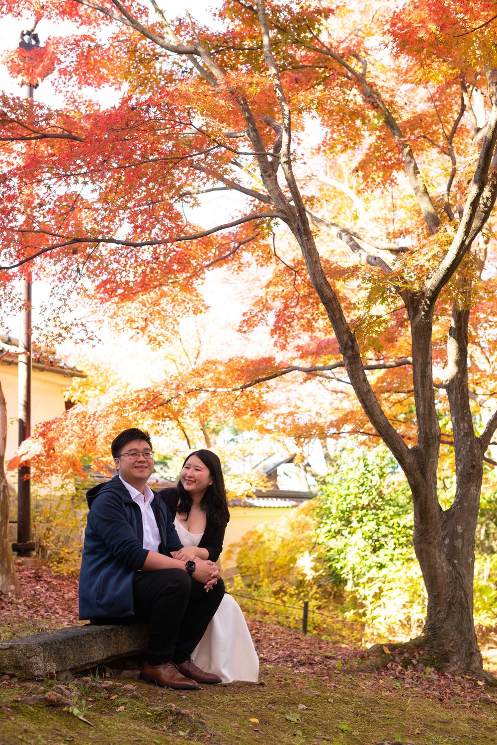 Smiling couple sits together on a stone ledge beneath a vibrant red and orange maple tree in a peaceful autumn garden.