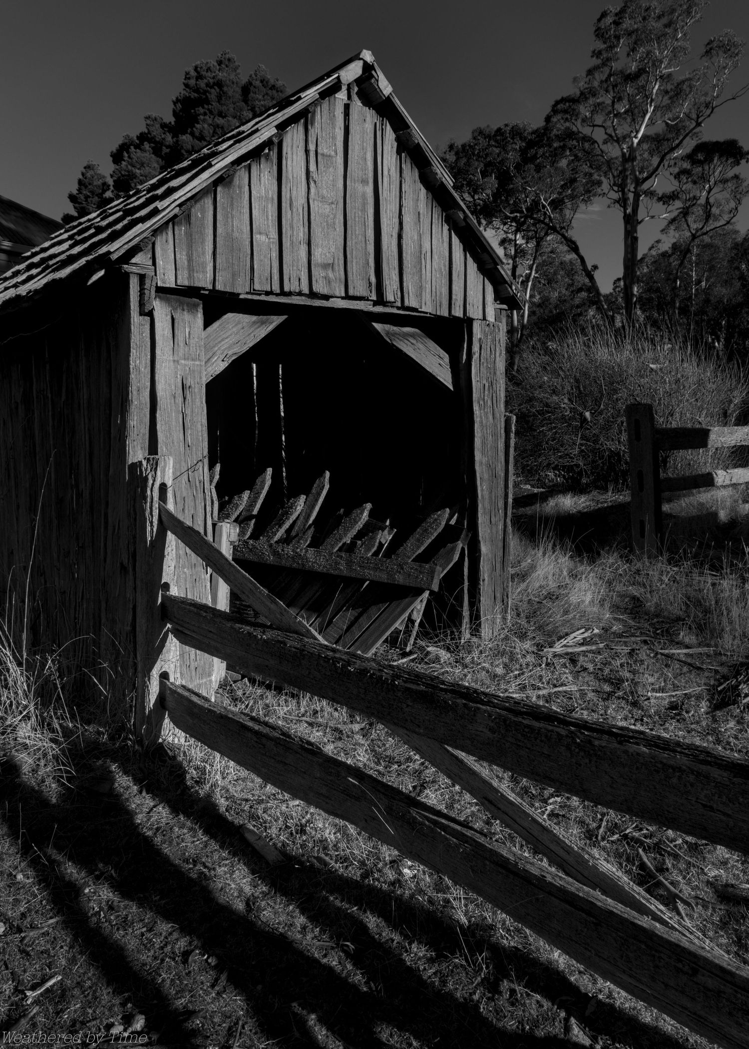 Black and white photo of a weathered wooden shed with an open front and a broken timber fence casting long shadows across dry grass.