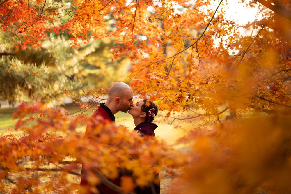 Romantic couple sharing a close kiss surrounded by vibrant orange autumn maple leaves in a sunlit fall park setting.