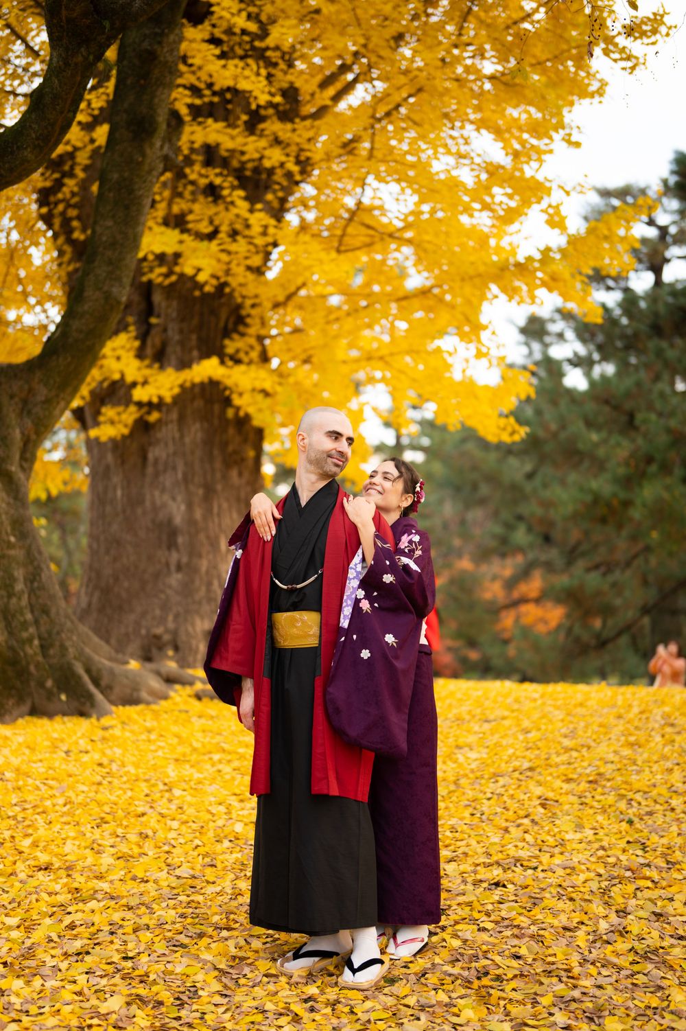 Couple in traditional Japanese kimono embracing beneath a golden ginkgo tree on a carpet of yellow autumn leaves.