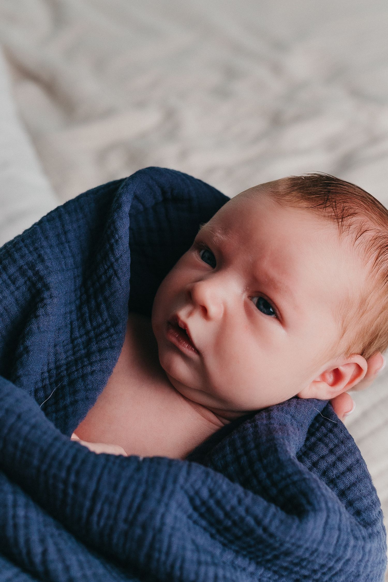Newborn baby wrapped snugly in a navy blue muslin swaddle blanket, lying on a white surface.