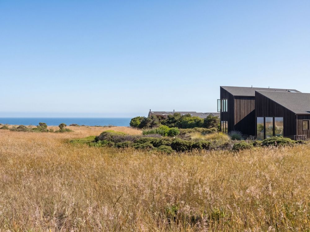 Dark wood coastal home surrounded by golden meadow grass with ocean horizon view under clear blue sky.
