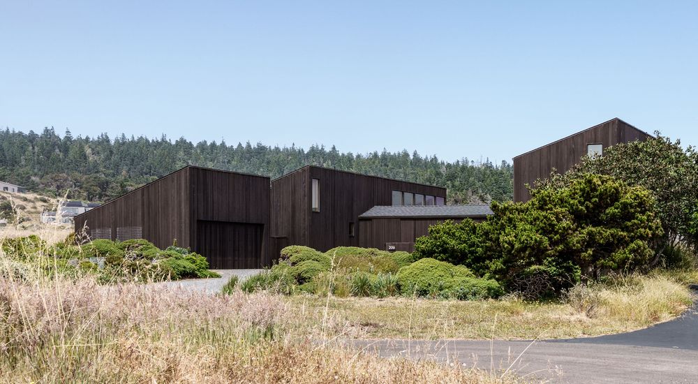 Dark wood modern buildings surrounded by wild grasses and dense evergreen forest under a clear blue sky.