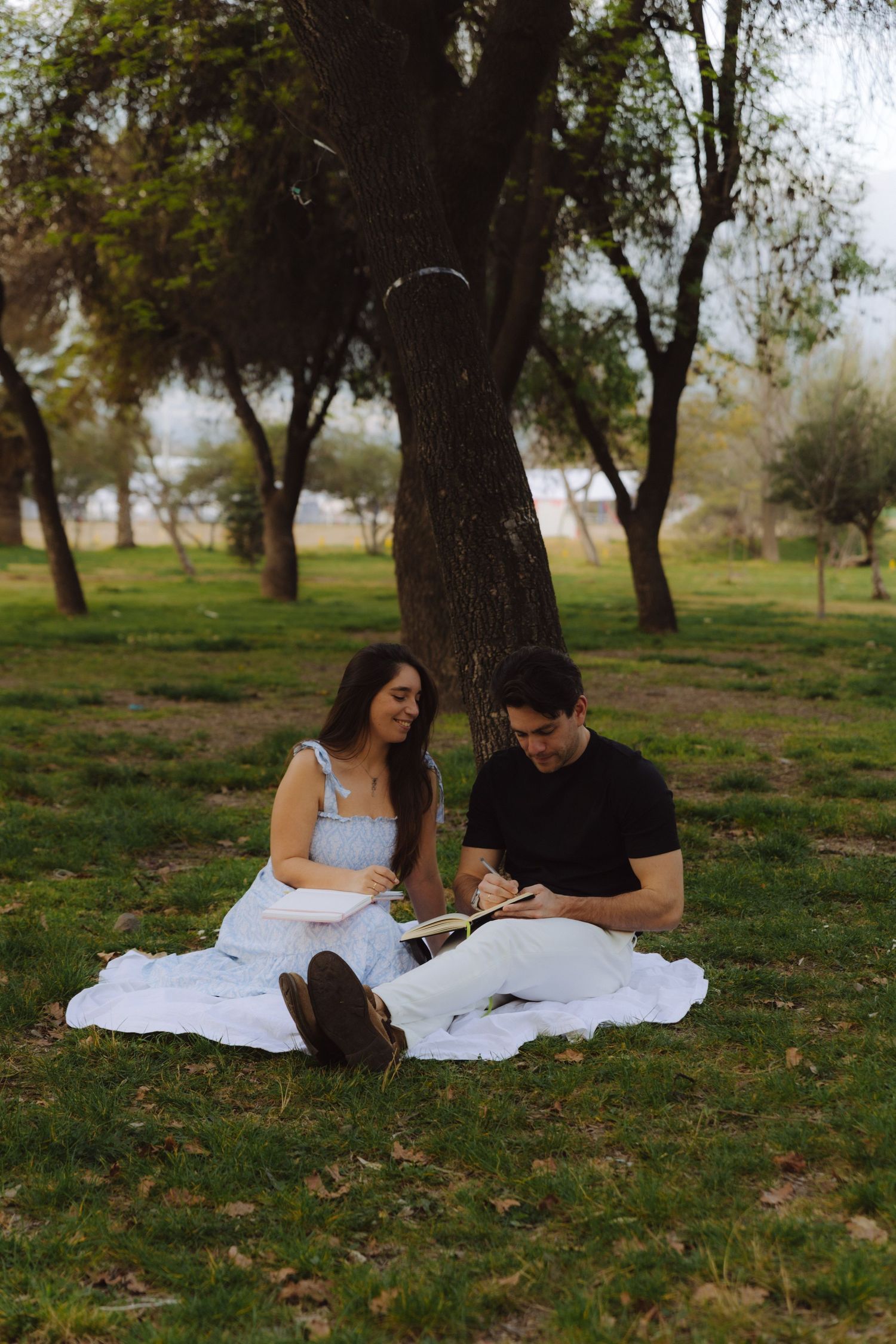 Couple sitting on a blanket under a tree in a park, reading and writing together.
