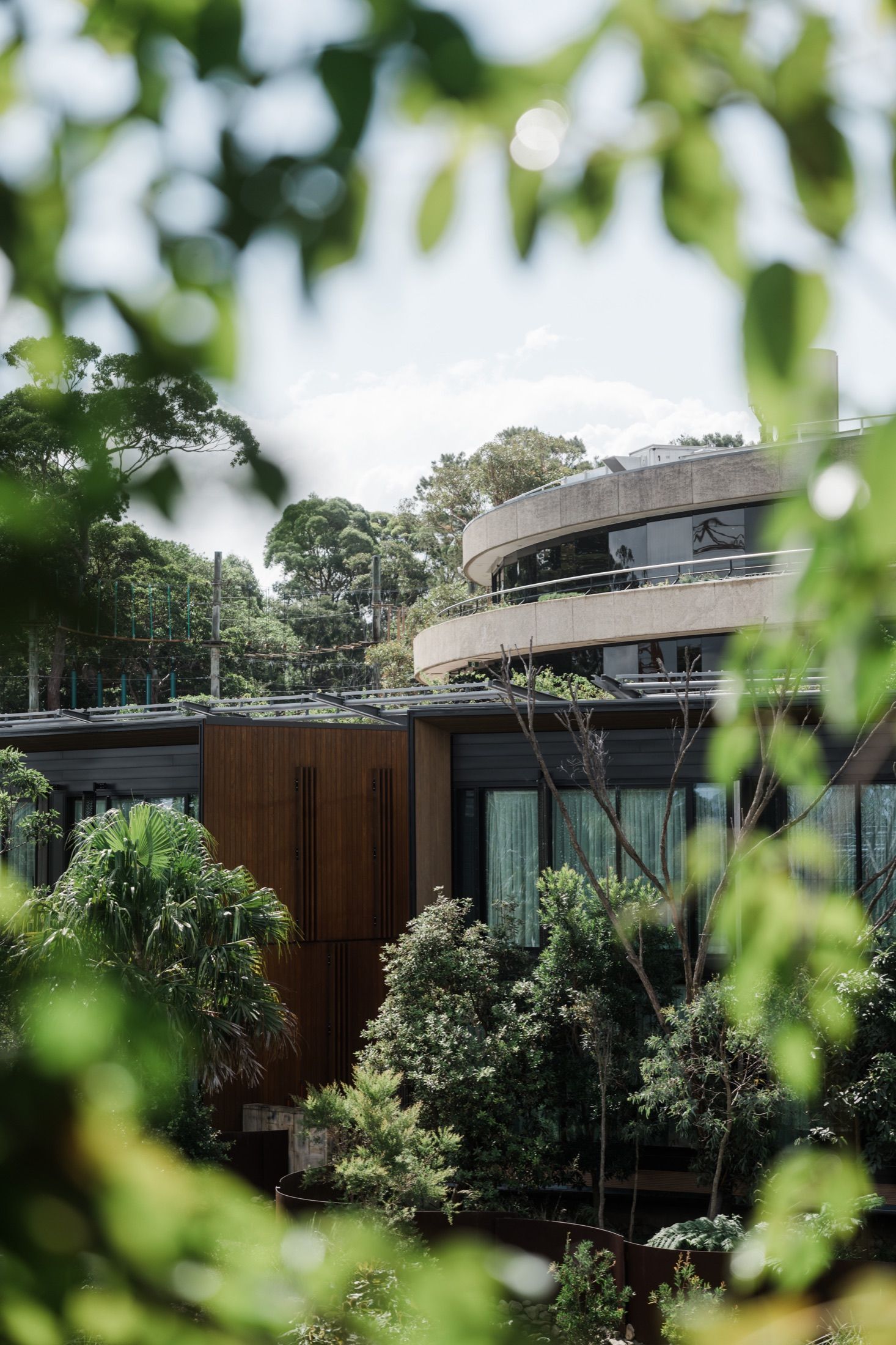 Modern curved building with rooftop terrace surrounded by lush tropical greenery and trees.