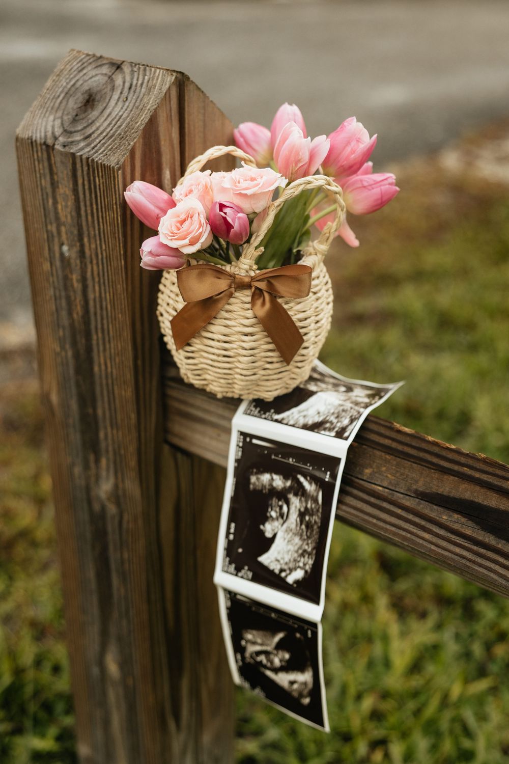 Pregnancy Announcement in Florida. Jacksonville Pregnancy Announcement Photos, Jacksonville Maternity Photographer Lindsay McDow Photography