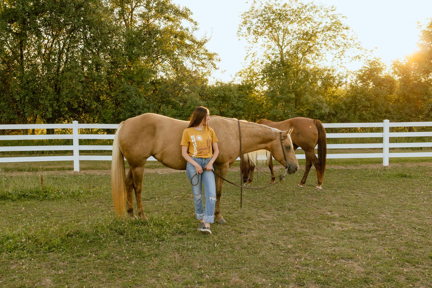 Young woman in yellow shirt leading a palomino horse in a fenced pasture at golden hour.