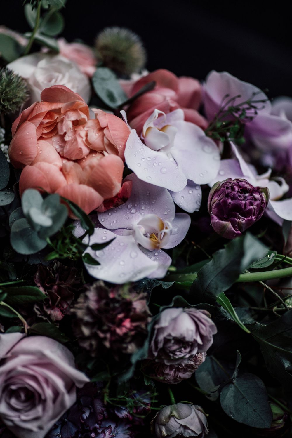 Elegant floral arrangement featuring coral peonies, white orchids, purple roses, and eucalyptus on a dark background.