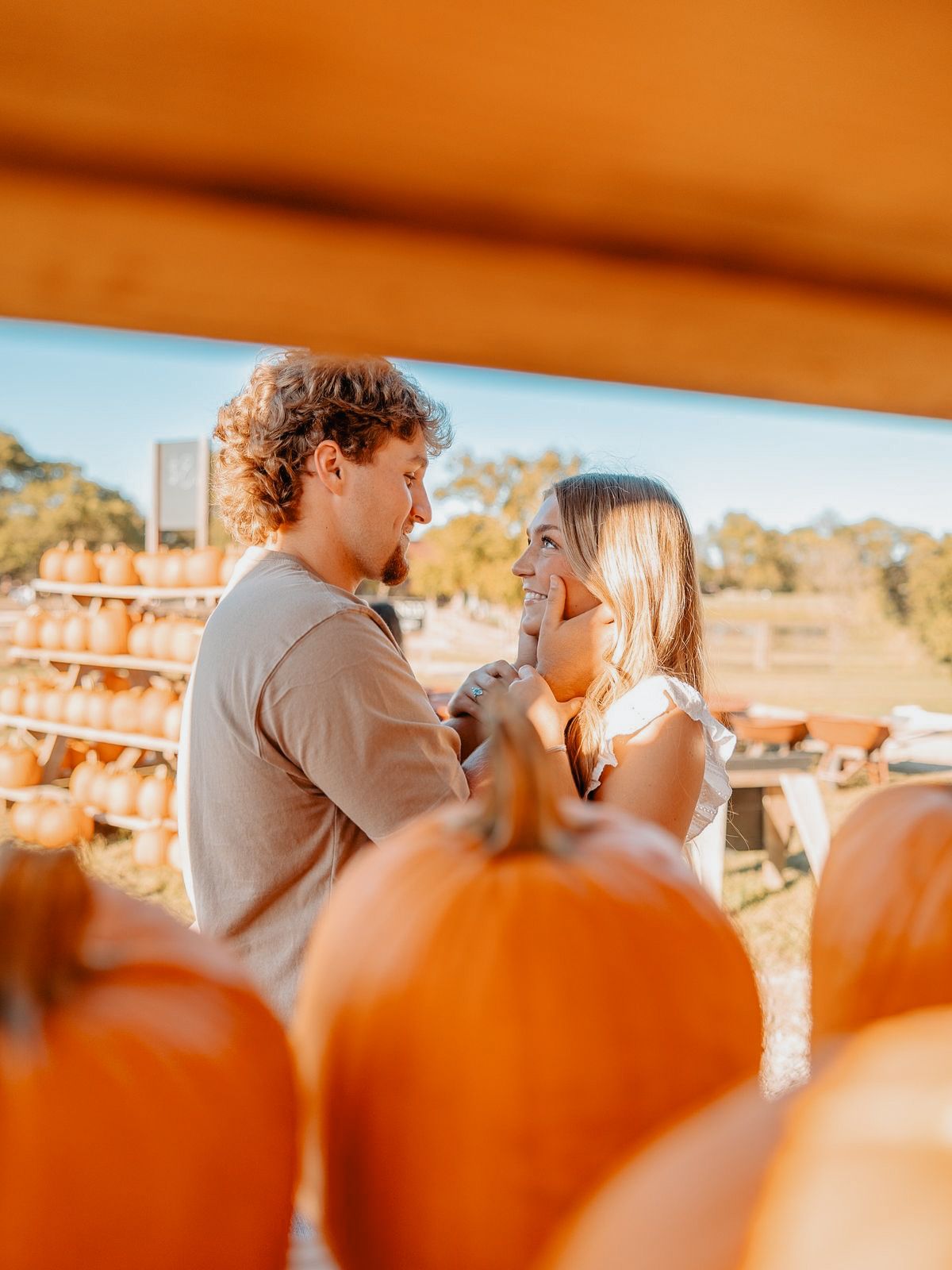 A couple shares a romantic moment surrounded by orange pumpkins at a sunny fall pumpkin patch farm.