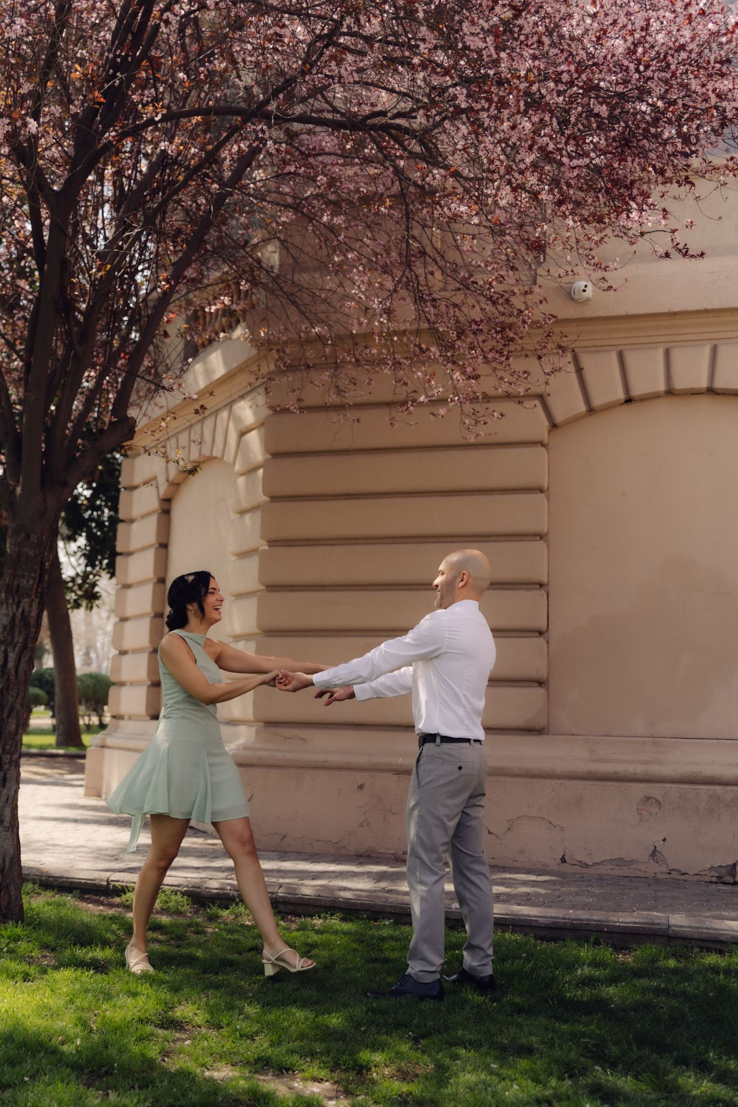 Romantic couple holding hands playfully near blooming pink sakura tree against classic beige architectural building exterior.