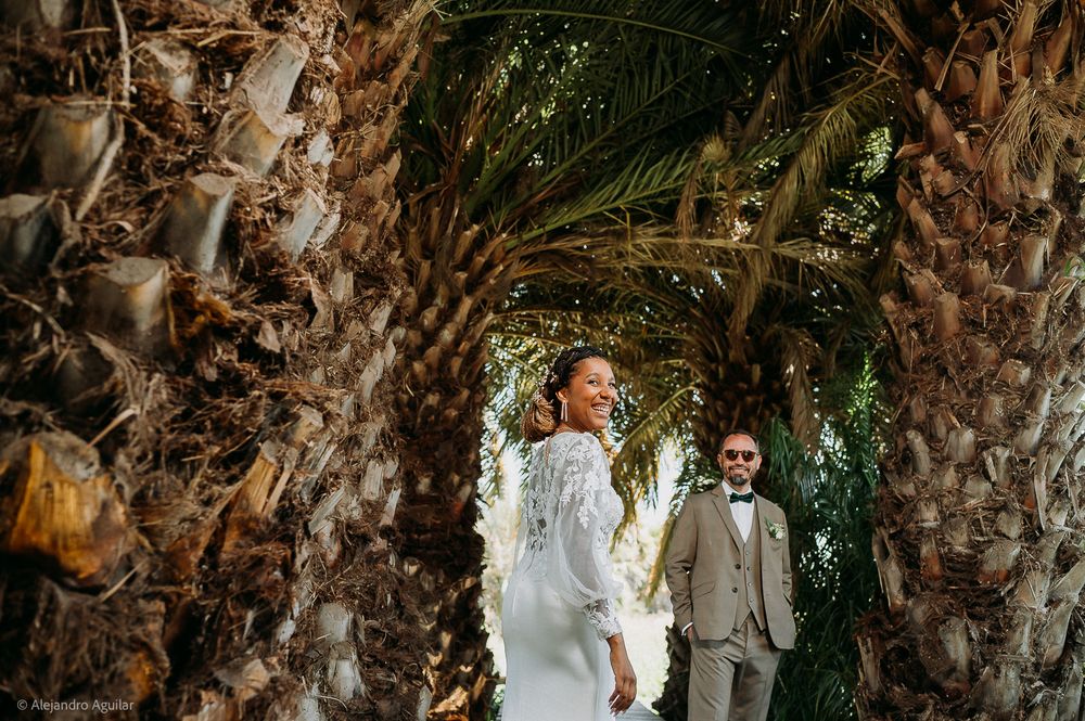 Bride and groom walk through tropical palm tree archway at outdoor wedding venue.