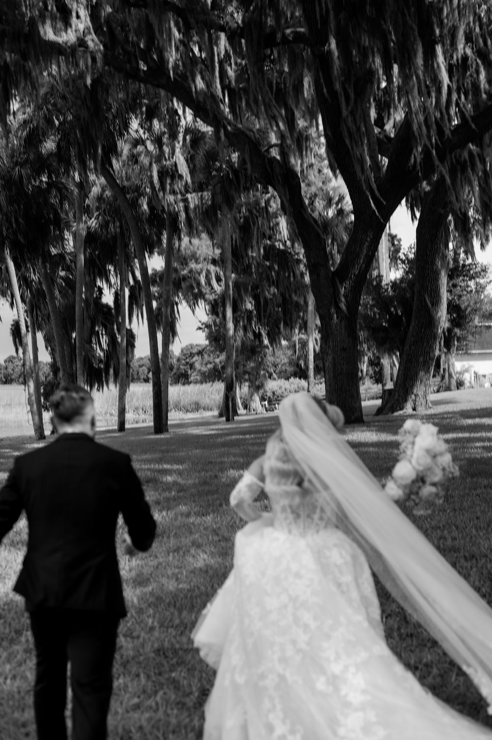 Black and white photo of bride and groom walking under moss-draped trees after outdoor wedding ceremony.