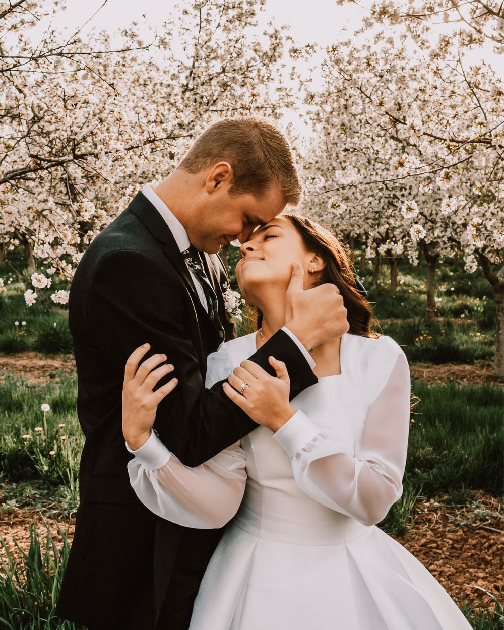 Bride and groom embracing tenderly under blooming cherry blossom trees in a romantic spring wedding photo.
