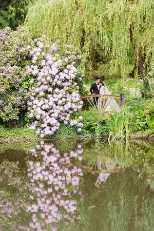 Couple kissing on a garden bridge surrounded by pink blooming flowers and a weeping willow reflected in a serene pond.